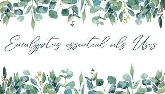 Eucalyptus essential oils Uses - SNGCREATIONS