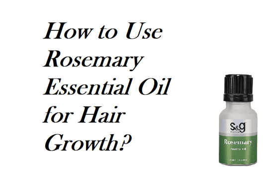 How to Use Rosemary Essential Oil for Hair Growth? - SNGCREATIONS