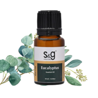 Eucalyptus Oil 10ml