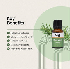 Rosemary Essential Oil 15ml - SNGCREATIONS